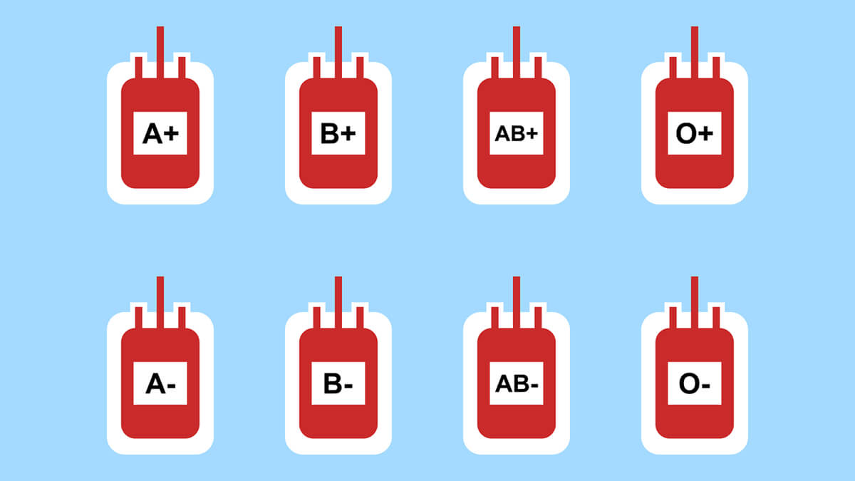 What Your Blood Type Says About Your Personality: 4 Different